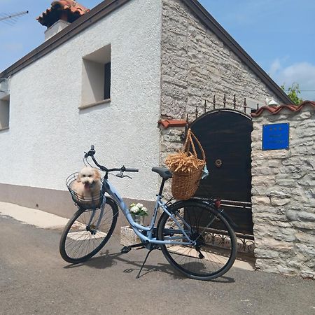 Authentic Istria&Pet Friendly Apartment Banko Near Rovinj Kanfanar Exteriör bild