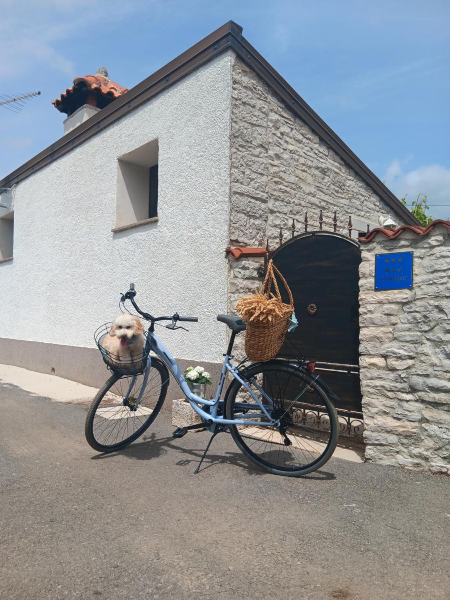 Authentic Istria&Pet Friendly Apartment Banko Near Rovinj Kanfanar Exteriör bild