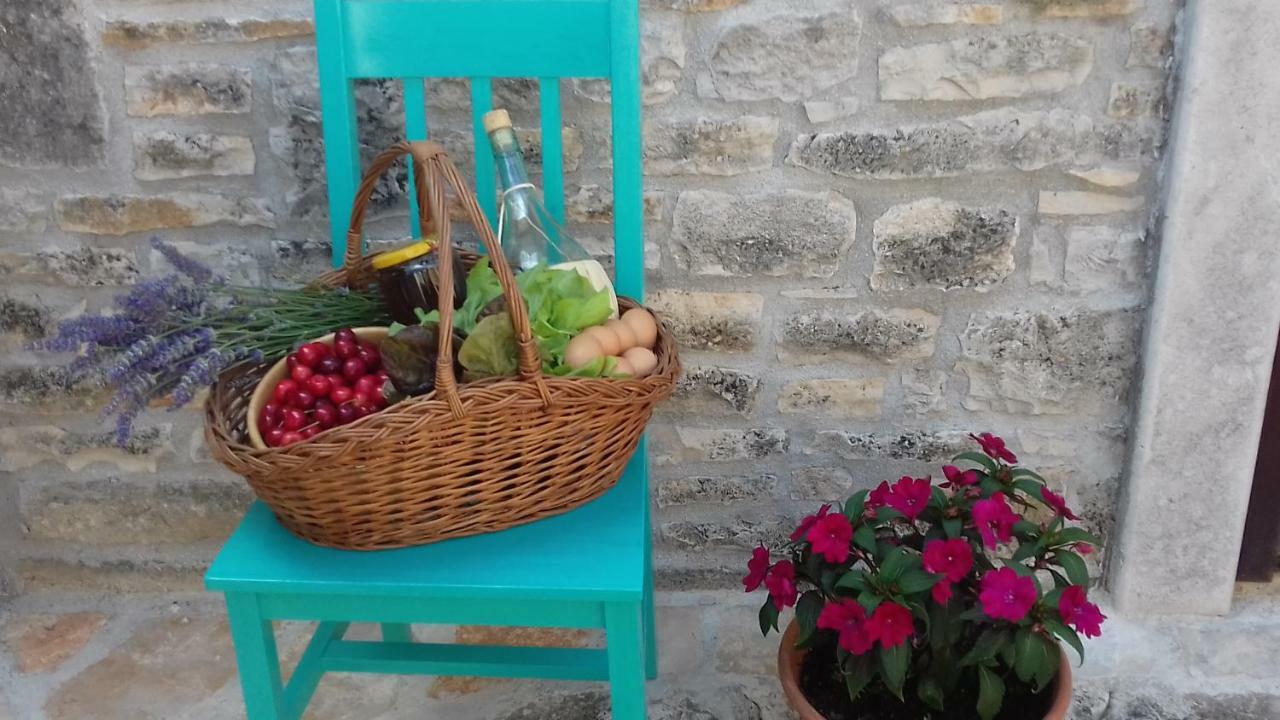 Authentic Istria&Pet Friendly Apartment Banko Near Rovinj Kanfanar Exteriör bild