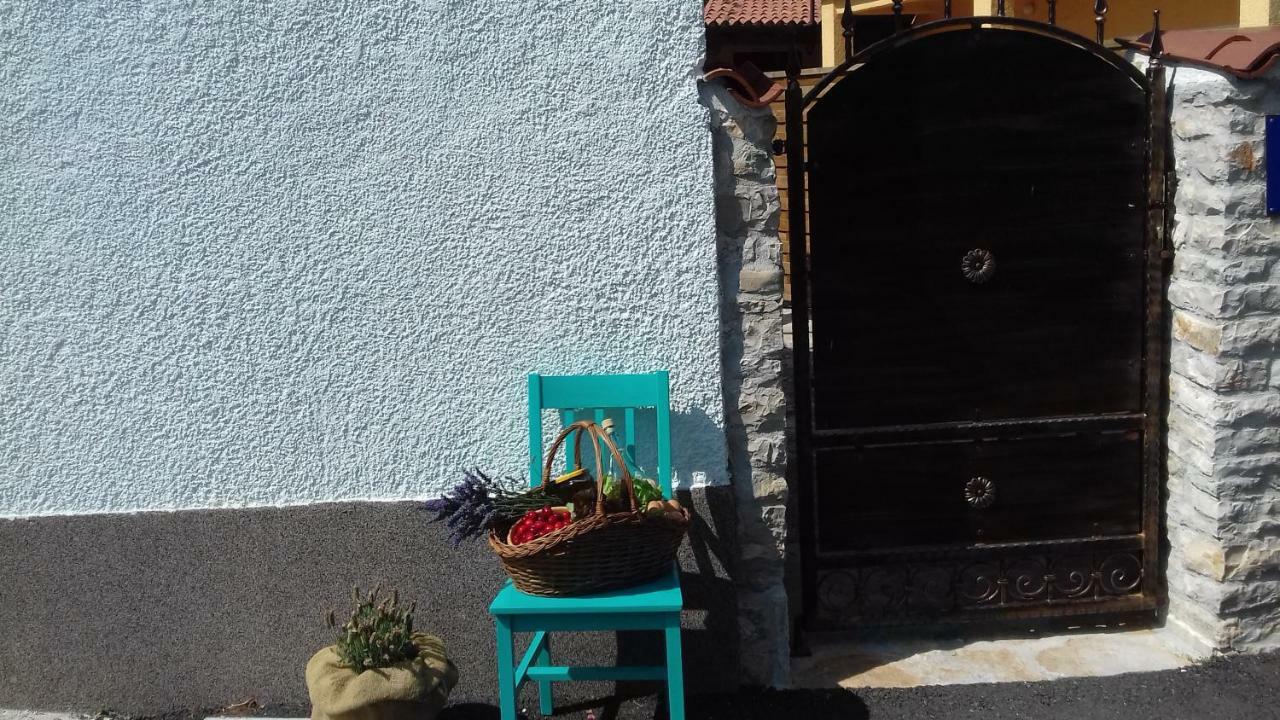 Authentic Istria&Pet Friendly Apartment Banko Near Rovinj Kanfanar Exteriör bild