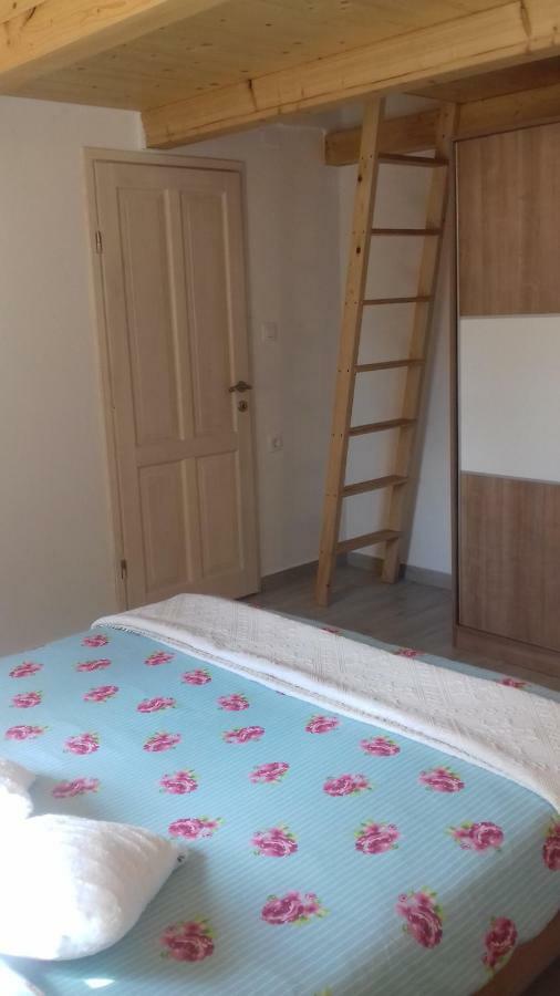 Authentic Istria&Pet Friendly Apartment Banko Near Rovinj Kanfanar Exteriör bild